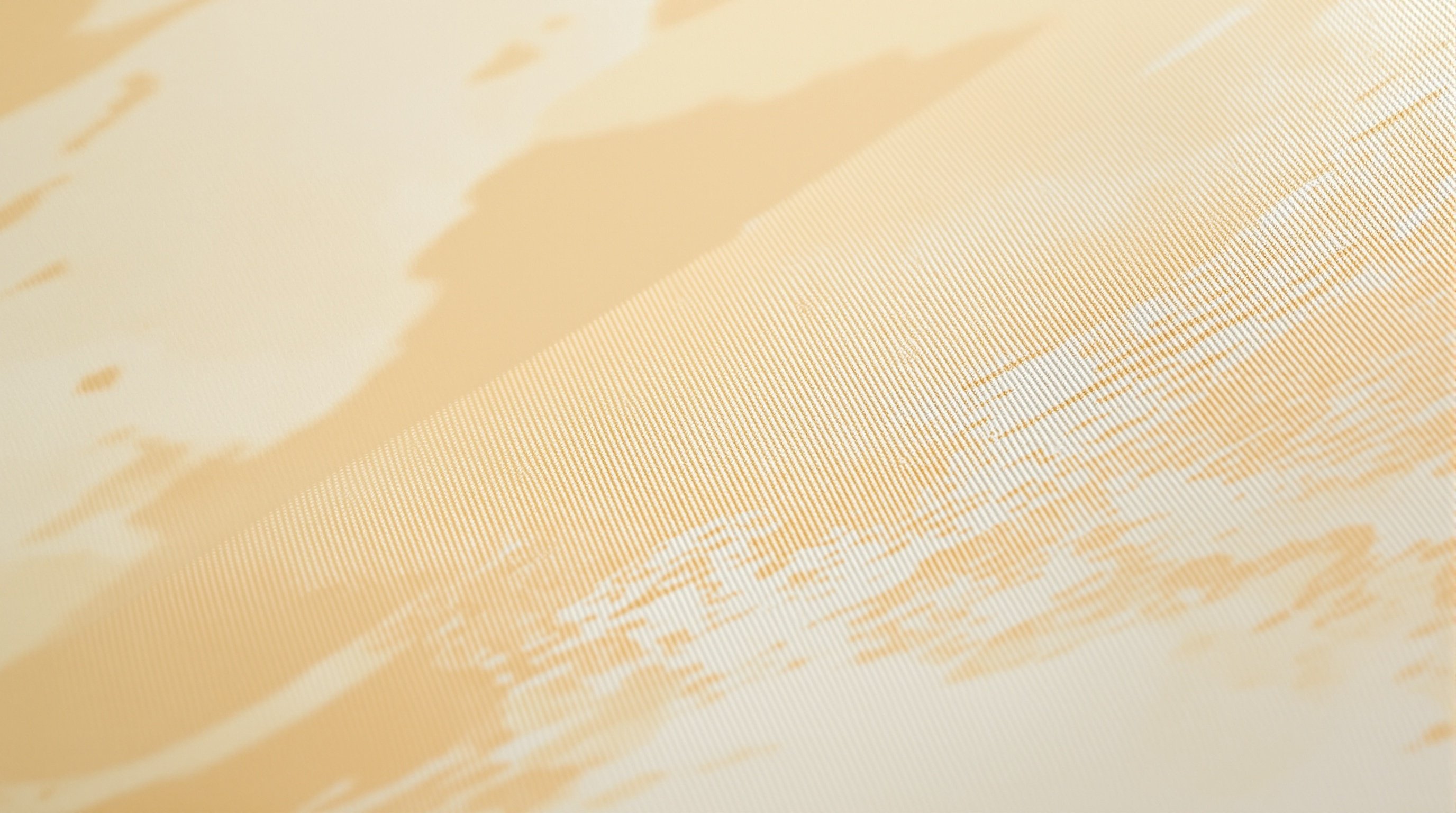 The Story of Cotton Canvas