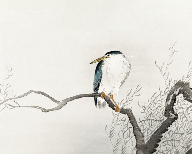  Serenade in Nature: 'Birch Branch Serenade' - Art Print on Paper ARTEMYST