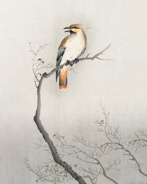  Nature's Whisper: 'Tree Harmony' - Art Print on Paper ARTEMYST