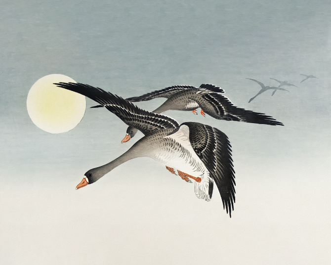  Mystical Nocturne: 'Birds at Full Moon' - Art Print on Paper ARTEMYST