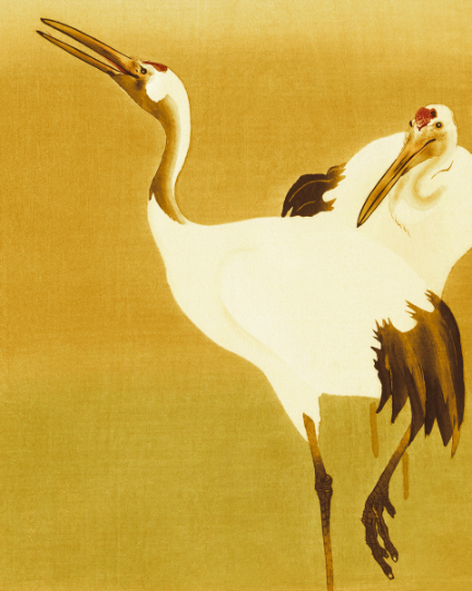  Graceful Elegance: 'Crane' Bird - Art Print on Paper ARTEMYST