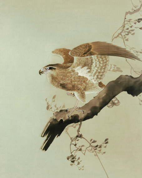  Majestic Soar: 'Eagle' - Art Print on Paper ARTEMYST
