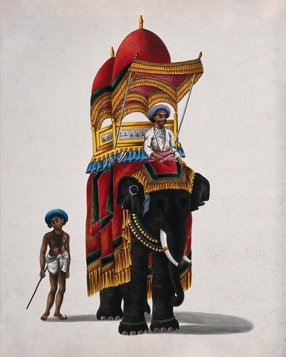  Regal Majesty: 'Elephant Carrying Howdah' - Art Print on Paper ARTEMYST