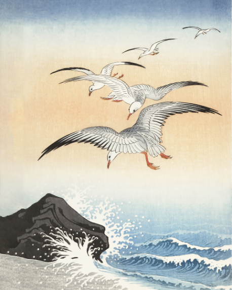  Dance Above the Waves: 'Five Seagulls Above Turbulent Sea' - Print on Paper