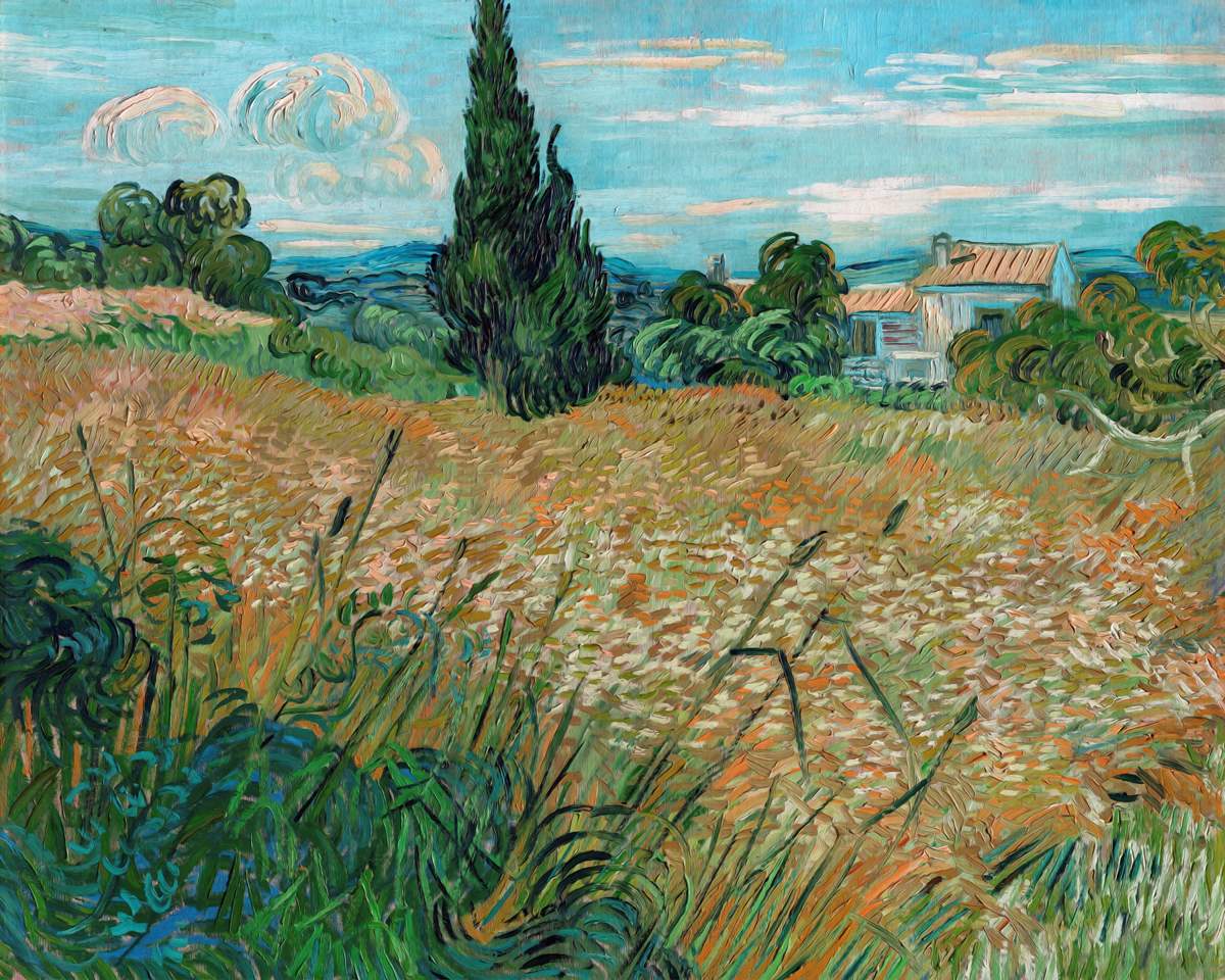 Green Wheat Field with Cypress: A Symphony of Nature's Colors - Art Print on Paper. ARTEMYST