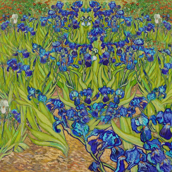  Dynamic Impressions: 'Irises' Art Collection - Art Print on Canvas. Artemyst