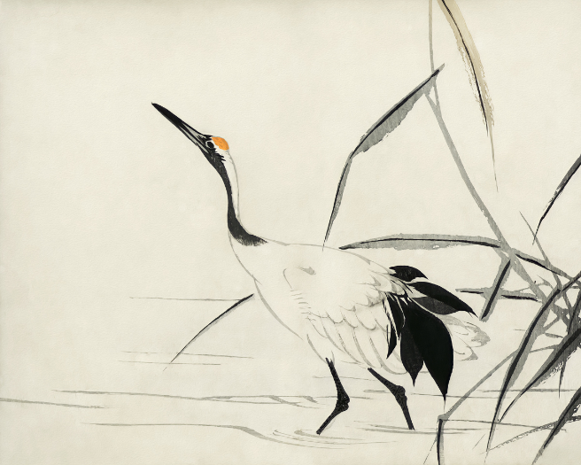  Serenity Captured: 'Japanese Crane' Bird - Print on Paper 