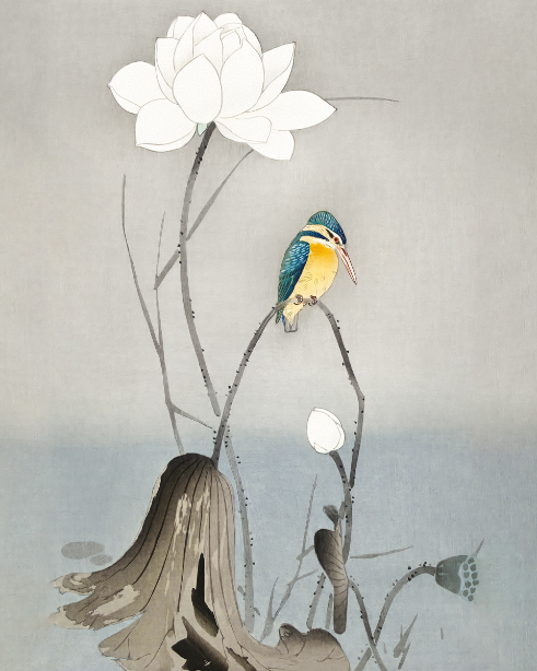 Harmony Unveiled: 'Kingfisher with Lotus Flower' - Art Print on Paper ARTEMYST