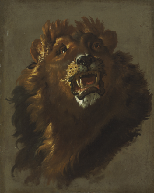  Regal Roar: 'Lion' Animal Art - Print on Fine Art Paper. ARTEMYST