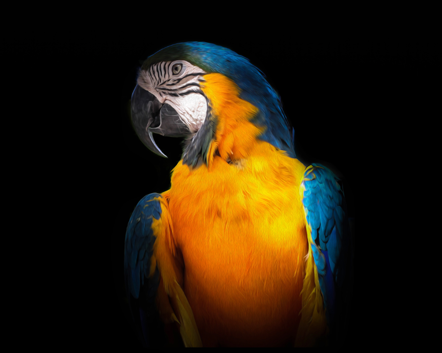  Tropical Vigilance: 'Macaw' - Art Print on Paper ARTEMYST