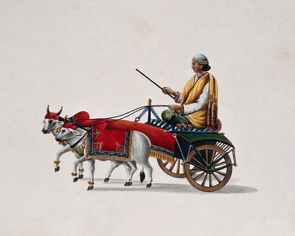  Rural Elegance: 'Man Driving Bullock Cart' - Art Print on Paper ARTEMYST