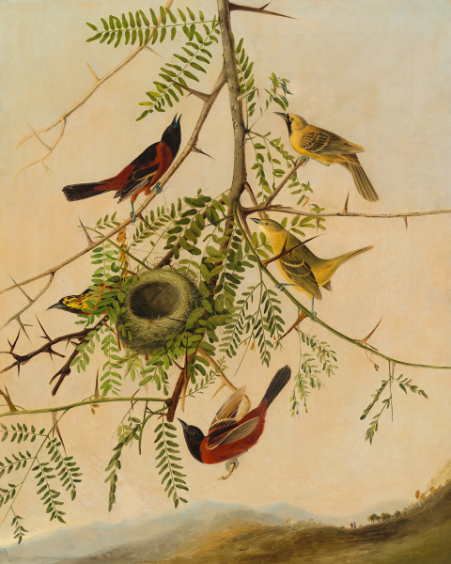  Melodic Serenade: 'Orchard Oriole' Charming Bird - Art Print on Paper ARTEMYST