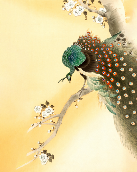  Blooming Grandeur: Peacock on Cherry Blossom - Art Print on Paper ARTEMYST