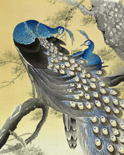  Iridescence Unveiled: Peacocks on Sunlit Tree - Art Print on Paper ARTEMYST