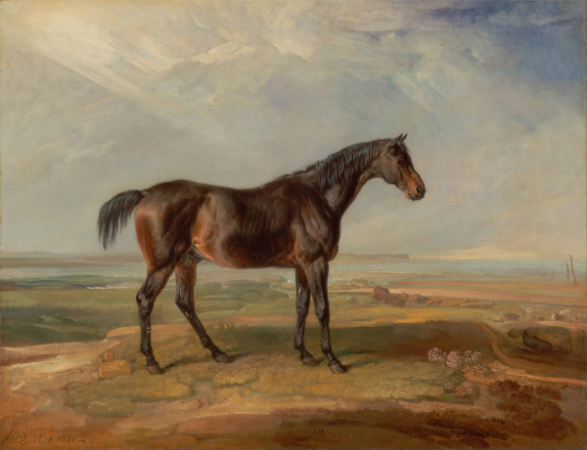  Spirited Stride: 'Racehorse by the Coast' Animal Art - Print on Fine Art Paper. ARTEMYST