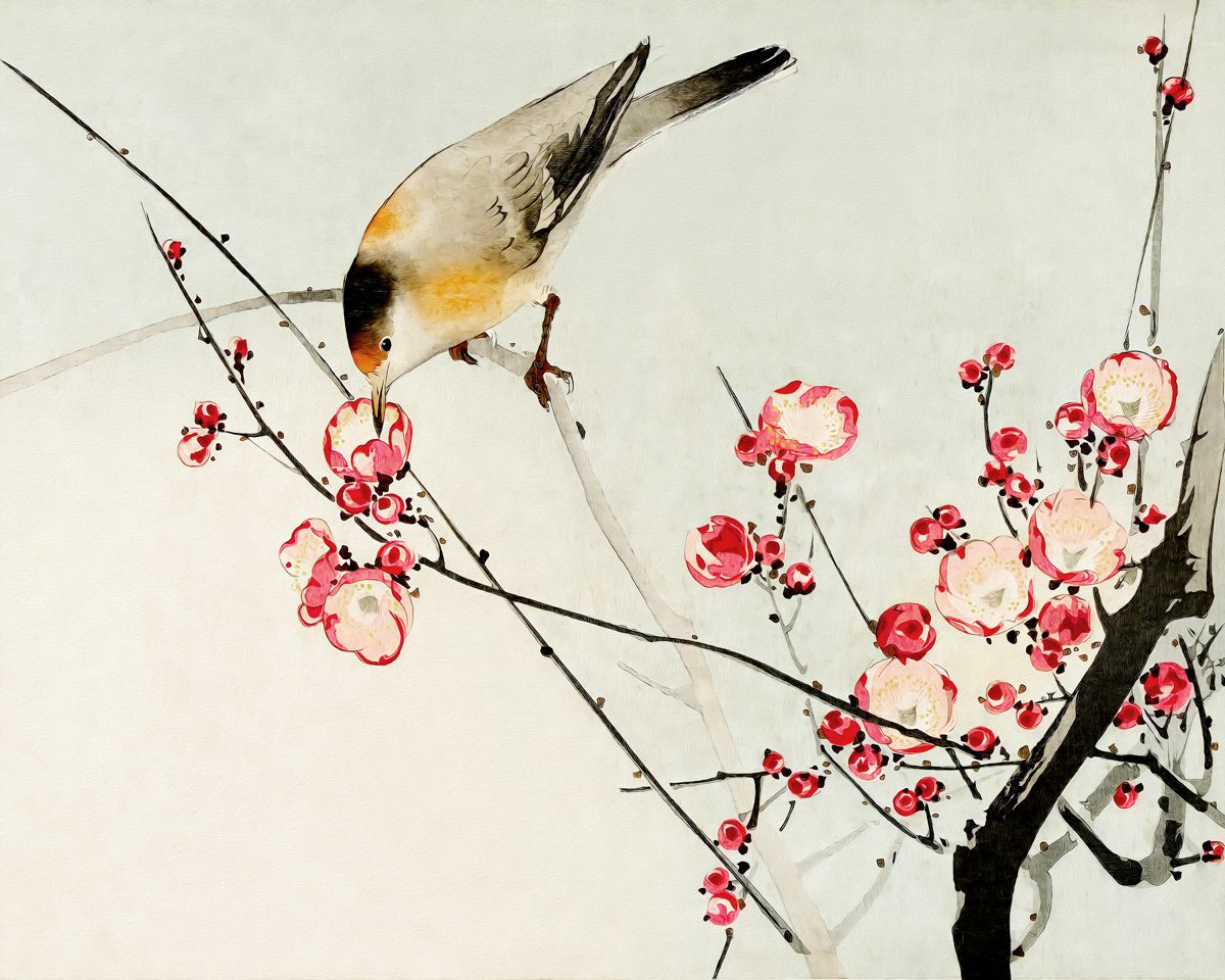  Nature's Serenade: Songbird on a Blooming Cherry Blossom Branch - Art Print on Paper ARTEMYST