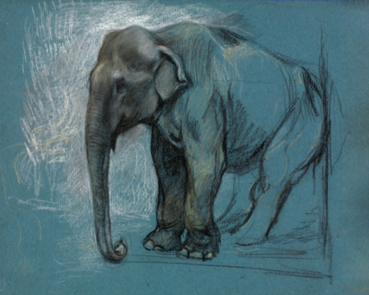  Elephant Essence: 'Study of an Elephant' Animal Art - Print on Fine Art Paper. ARTEMYST
