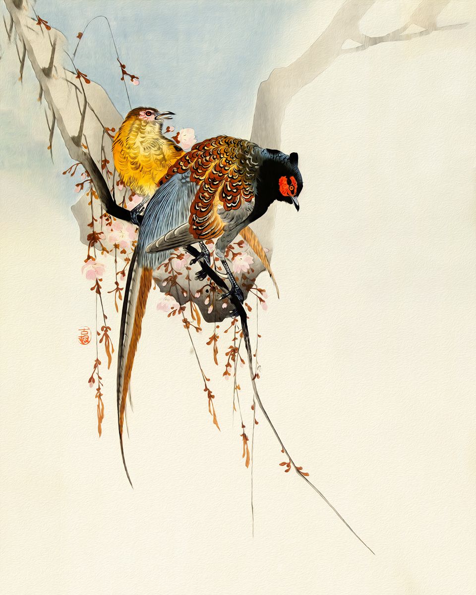  Elegant Harmony: Vivid Plumage Display in Two Pheasants - Art Print on Paper ARTEMYST