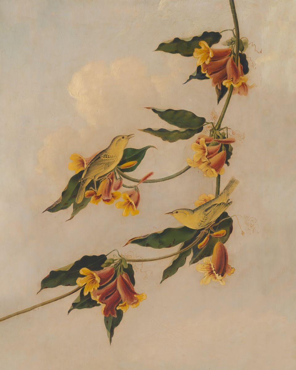  Foliage's Muse: Rathbone Warbler - Art Print on Paper ARTEMYST
